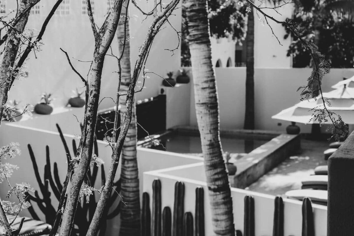 2 Modern Twin Suites In Exclusive Boutique Hotel San Jose del Cabo Luaran gambar